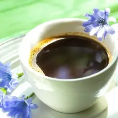 Tazza di caffè di cicoria con fiori blu. Nonostante l'aspetto invitante, il caffè di cicoria fa male se consumato in eccesso.
