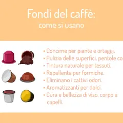 I fondi del caffè sono versatili: concime, pulizia, tintura, repellente, deodorante, aromatizzante e per la cura del corpo.