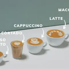 Espresso macchiato, cortado, cappuccino, latte e latte macchiato: una carrellata di caffè con latte, dal più piccolo al più grande.