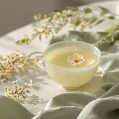 Tazza di tè con fiore di gelsomino galleggiante, circondata da rami fioriti. Le proprietà del gelsomino in un'infusione rilassante.