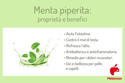 Menta piperita: proprietà e benefici. Foglie di menta in uno splash d'acqua, con elenco dei suoi usi per salute e bellezza.
