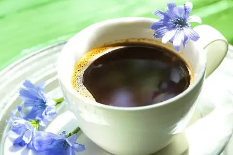 Tazza di caffè di cicoria con fiori blu. Nonostante l'aspetto invitante, il caffè di cicoria fa male se consumato in eccesso.