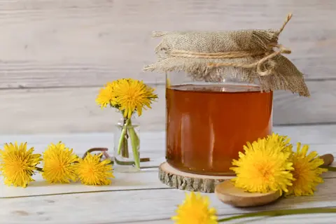 Miele dorato in un barattolo, circondato da fiori di tarassaco. Scopri i tarassaco benefici per la tua salute.