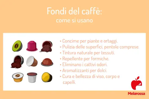 I fondi del caffè sono versatili: concime, pulizia, tintura, repellente, deodorante, aromatizzante e per la cura del corpo.