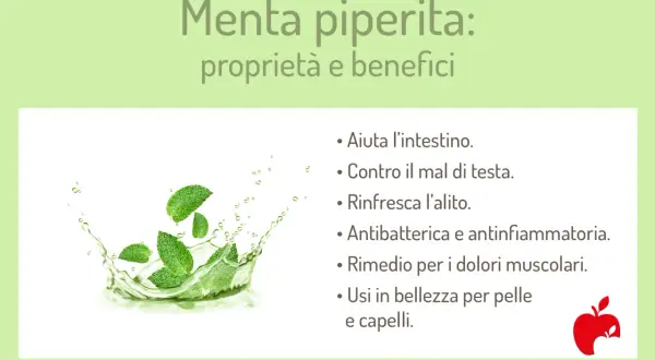Menta piperita: proprietà e benefici. Foglie di menta in uno splash d'acqua, con elenco dei suoi usi per salute e bellezza.