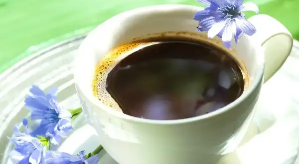 Tazza di caffè di cicoria con fiori blu. Nonostante l'aspetto invitante, il caffè di cicoria fa male se consumato in eccesso.