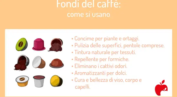 I fondi del caffè sono versatili: concime, pulizia, tintura, repellente, deodorante, aromatizzante e per la cura del corpo.