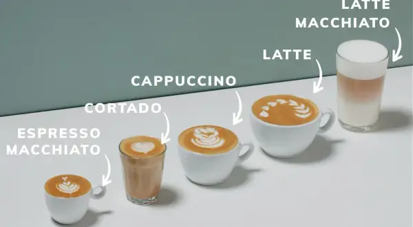 Espresso macchiato, cortado, cappuccino, latte e latte macchiato: una carrellata di caffè con latte, dal più piccolo al più grande.