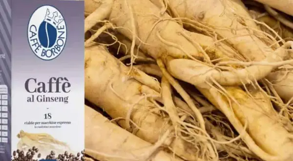 Scatola di caffè al ginseng Borbone accanto a radici di ginseng. Il ginseng caffè fa male? Forse, ma il gusto è unico.