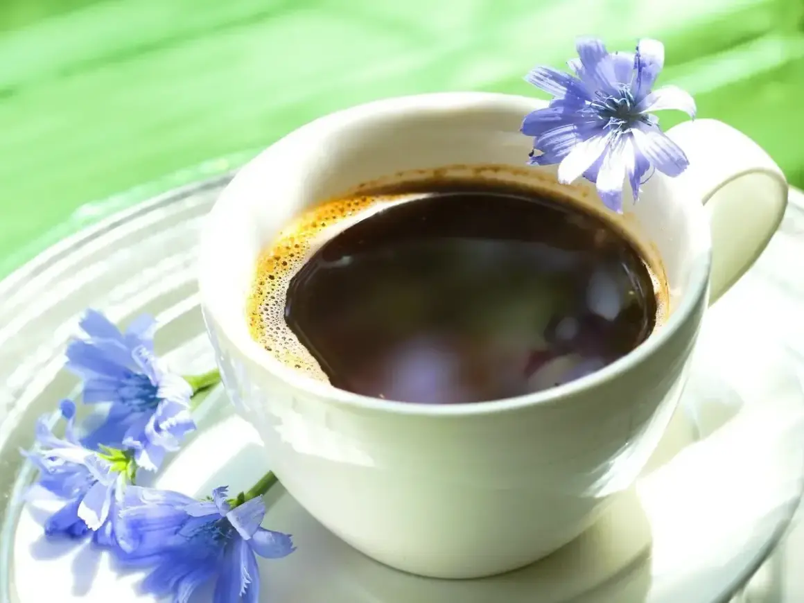 Tazza di caffè di cicoria con fiori blu. Nonostante l'aspetto invitante, il caffè di cicoria fa male se consumato in eccesso.