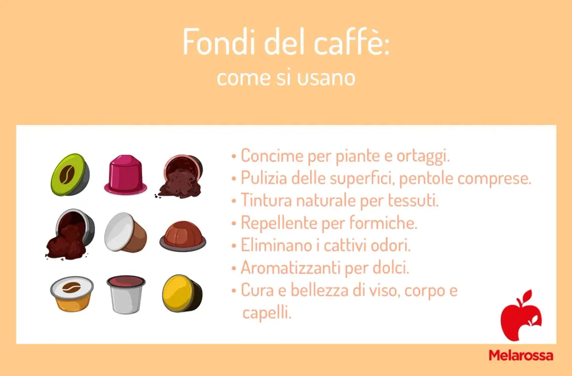 I fondi del caffè sono versatili: concime, pulizia, tintura, repellente, deodorante, aromatizzante e per la cura del corpo.
