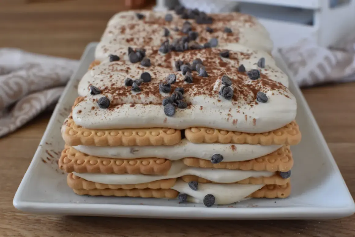 Deliziosa mattonella al caffè con strati di biscotti, crema soffice e gocce di cioccolato, spolverata di cacao.