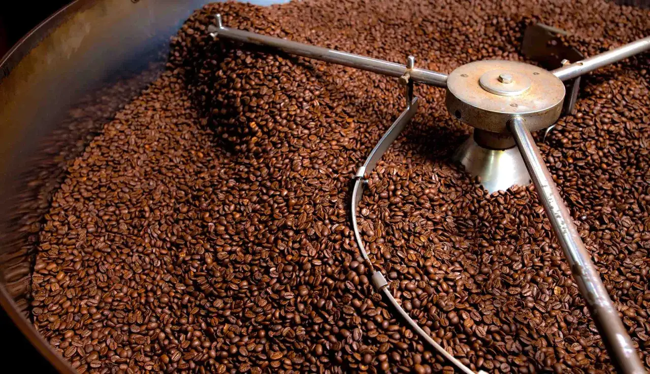 Tostatura di chicchi di caffè. Alcuni studi suggeriscono che il caffè è cancerogeno, ma il dibattito è ancora aperto.