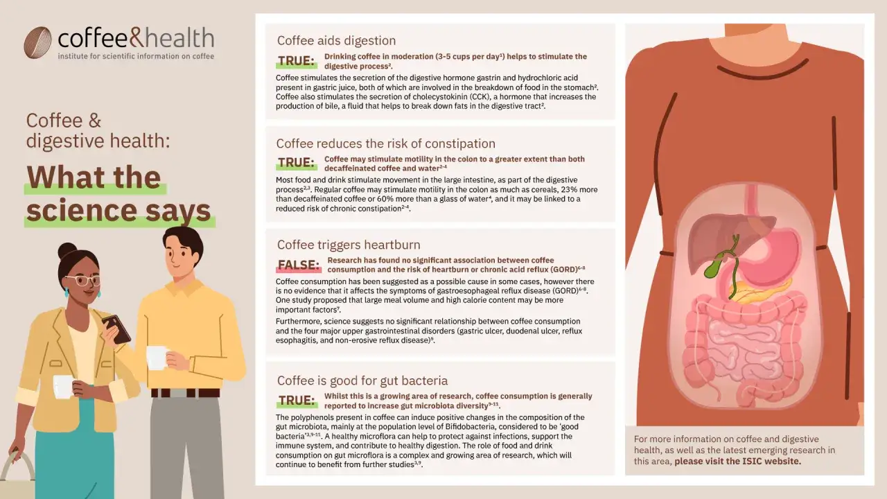Il caffè stringe? L'infografica spiega come il caffè influenzi la digestione, la stitichezza, il bruciore di stomaco e il microbiota intestinale.