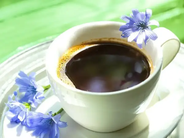 Tazza di caffè di cicoria con fiori blu. Nonostante l'aspetto invitante, il caffè di cicoria fa male se consumato in eccesso.
