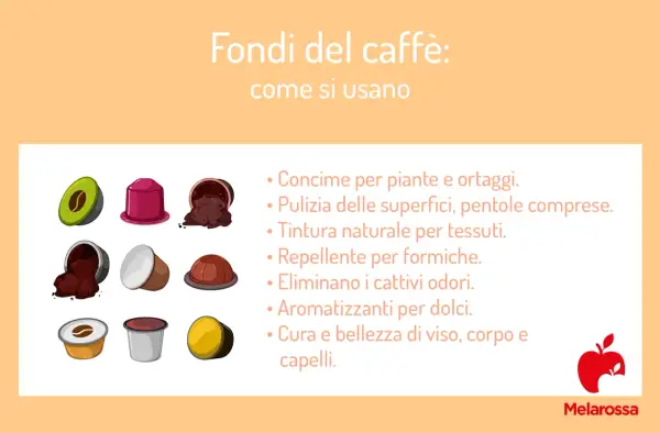 I fondi del caffè sono versatili: concime, pulizia, tintura, repellente, deodorante, aromatizzante e per la cura del corpo.