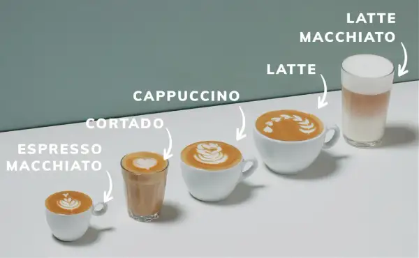Espresso macchiato, cortado, cappuccino, latte e latte macchiato: una carrellata di caffè con latte, dal più piccolo al più grande.